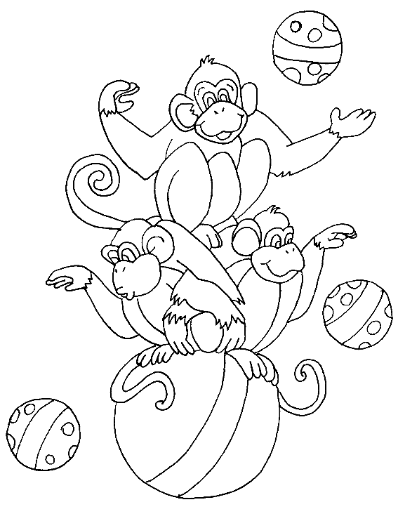 Circus coloring pages