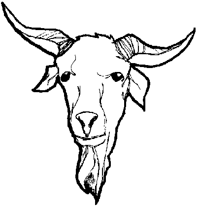 Constellation coloring pages