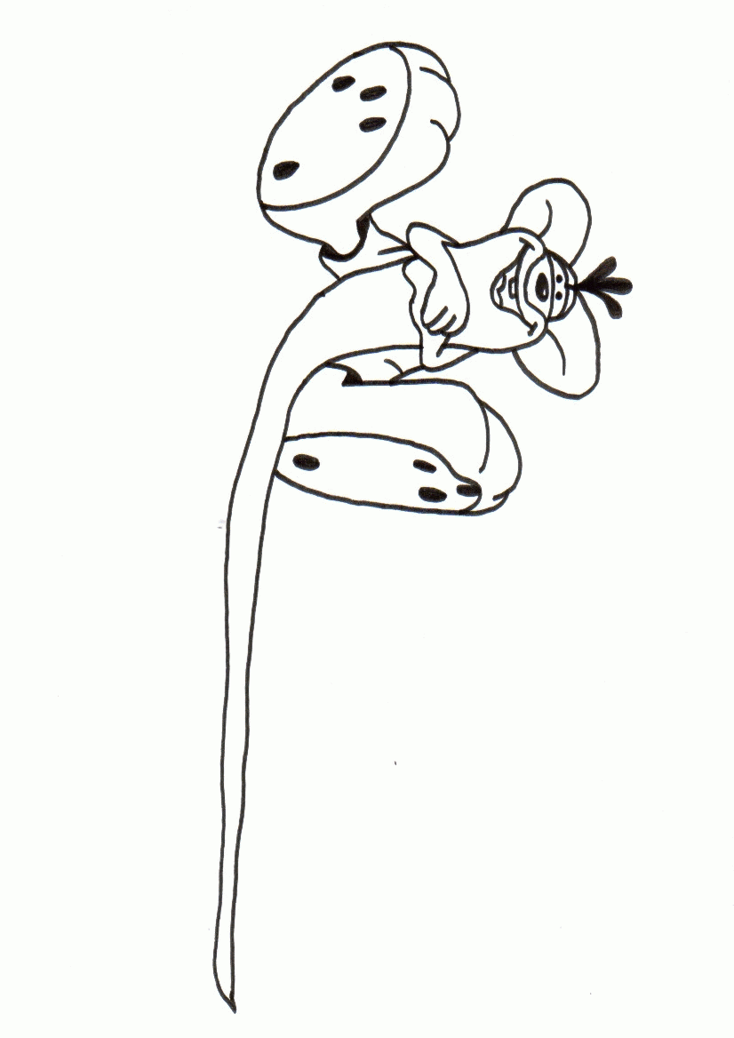 Diddl coloring pages