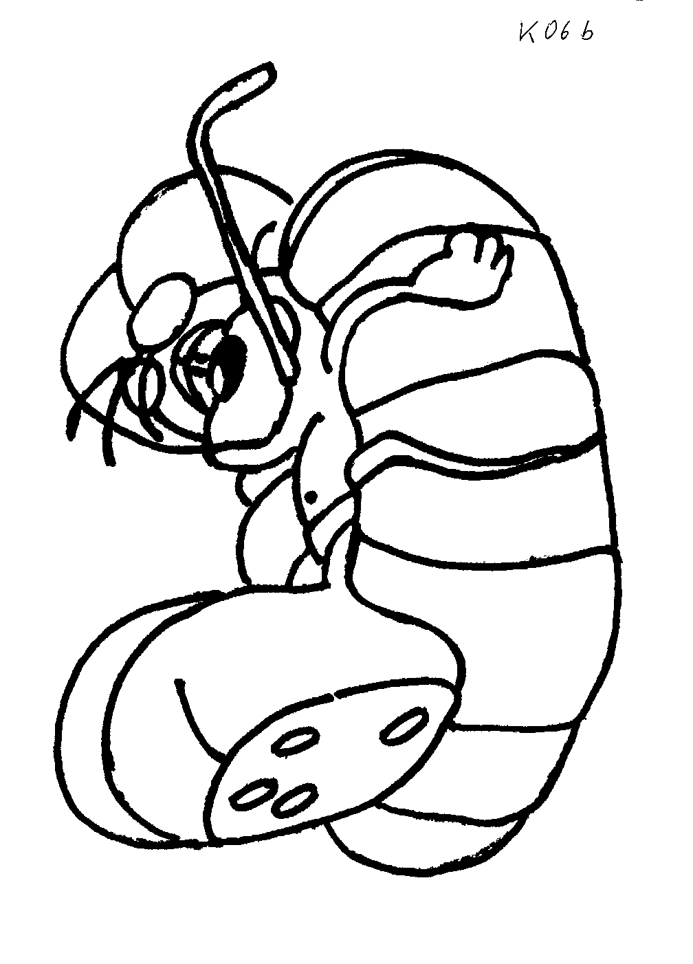 Diddl coloring pages