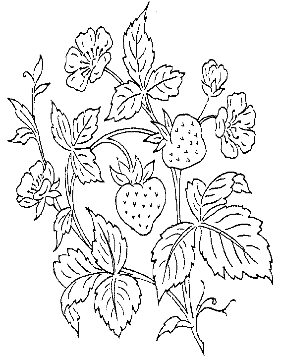 Eating coloring pages