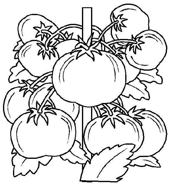 Eating coloring pages