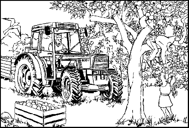 Farm coloring pages