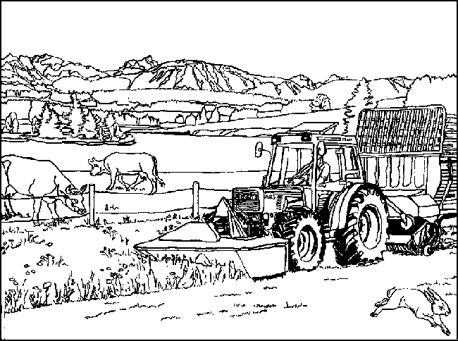 Farm coloring pages