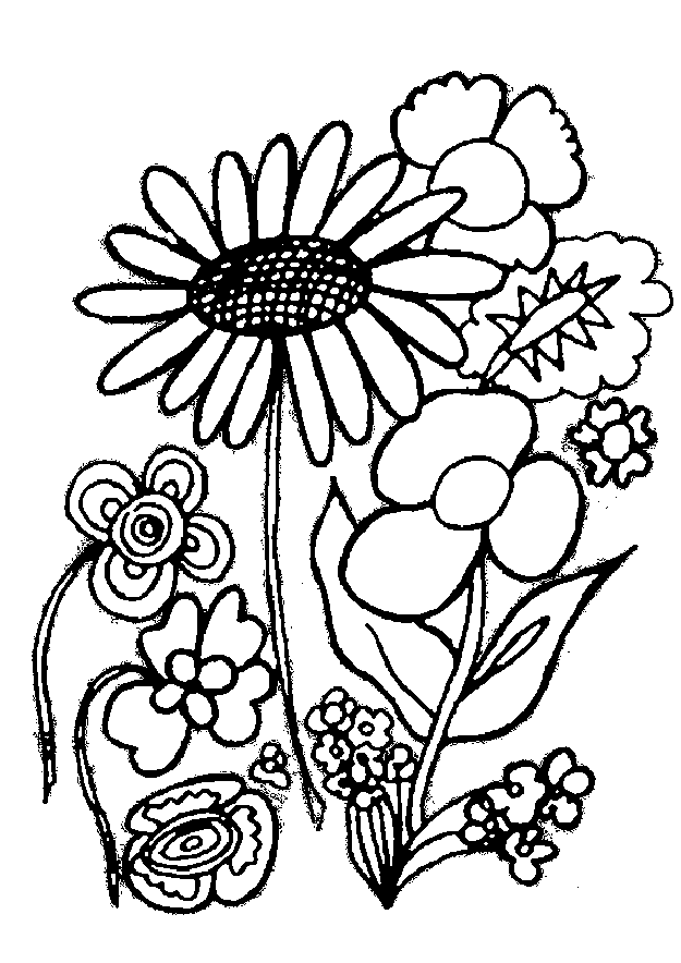 Flowers coloring pages