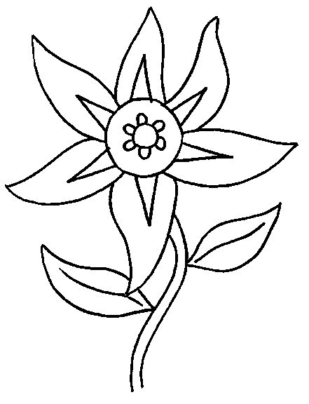 Flowers coloring pages