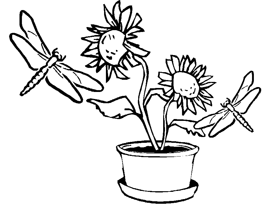 Flowers coloring pages