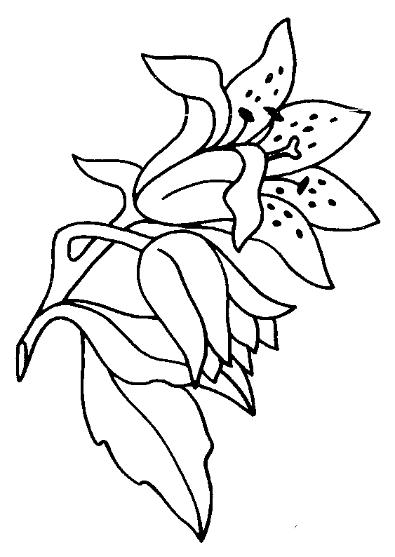 Flowers coloring pages