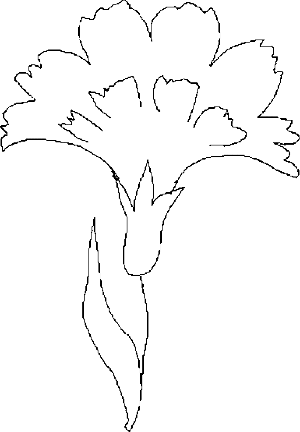 Flowers coloring pages