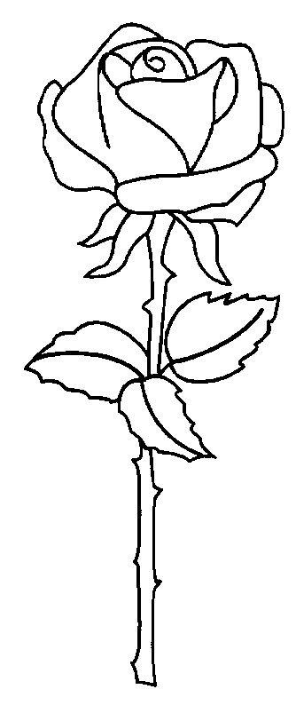 Flowers coloring pages