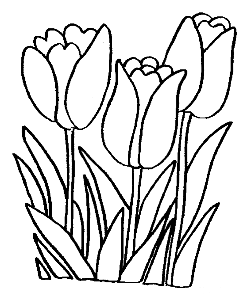 Download Flowers Coloring Page | PicGifs.com