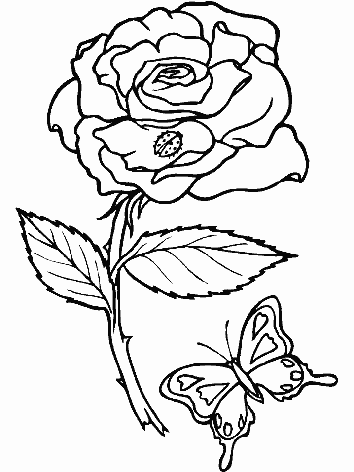 Flowers coloring pages