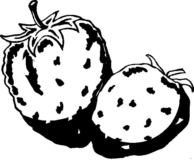 Fruit and vegetables coloring pages