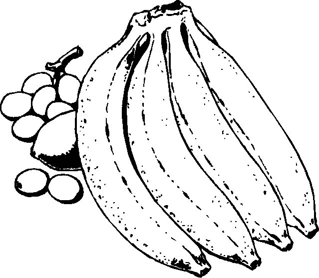 Fruit and vegetables coloring pages