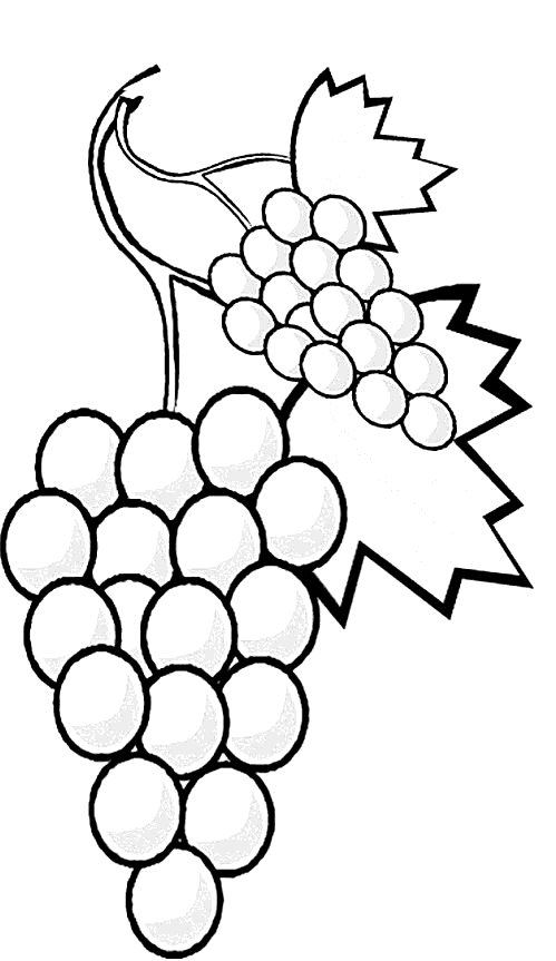 Fruit and vegetables coloring pages