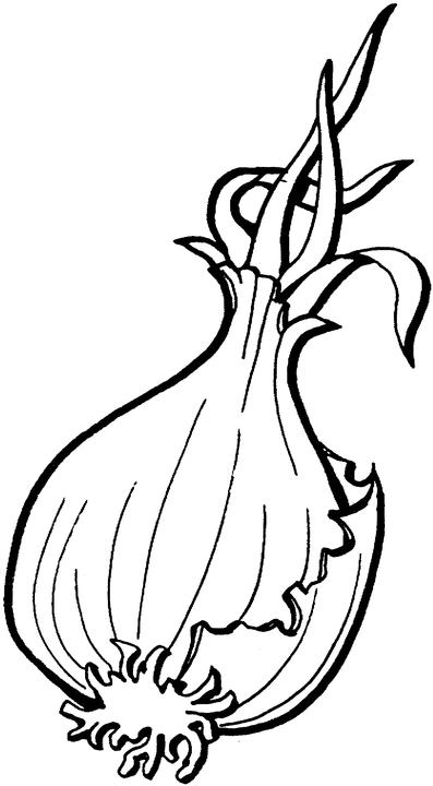 Fruit and vegetables coloring pages