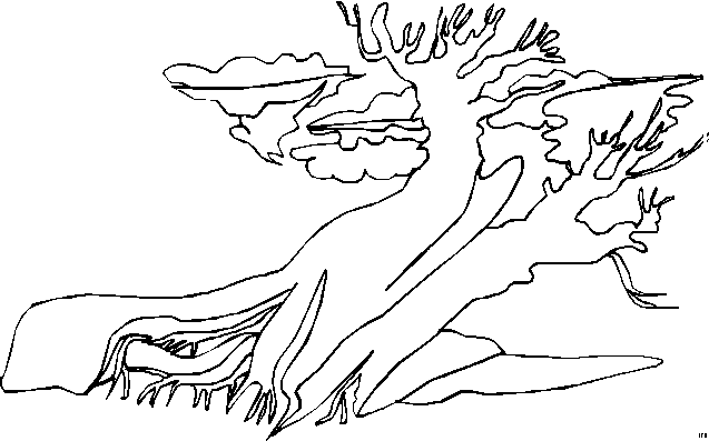 Landscapes coloring pages