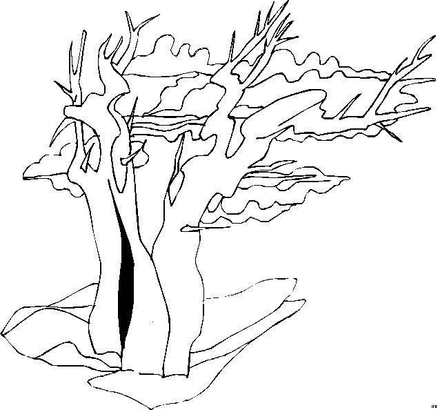 Landscapes coloring pages