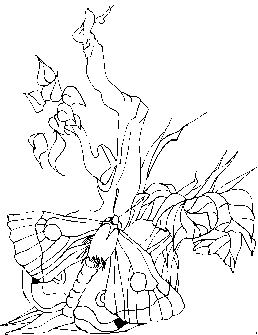 Landscapes coloring pages