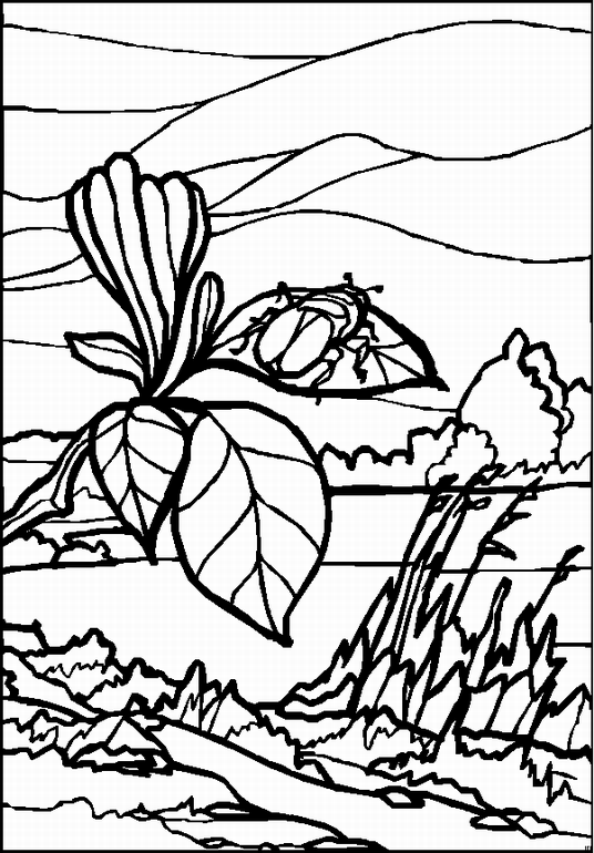 Landscapes coloring pages