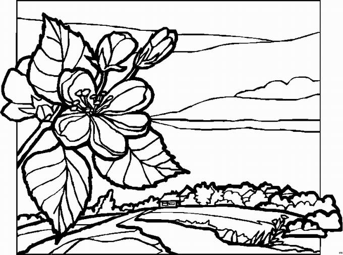 Landscapes coloring pages