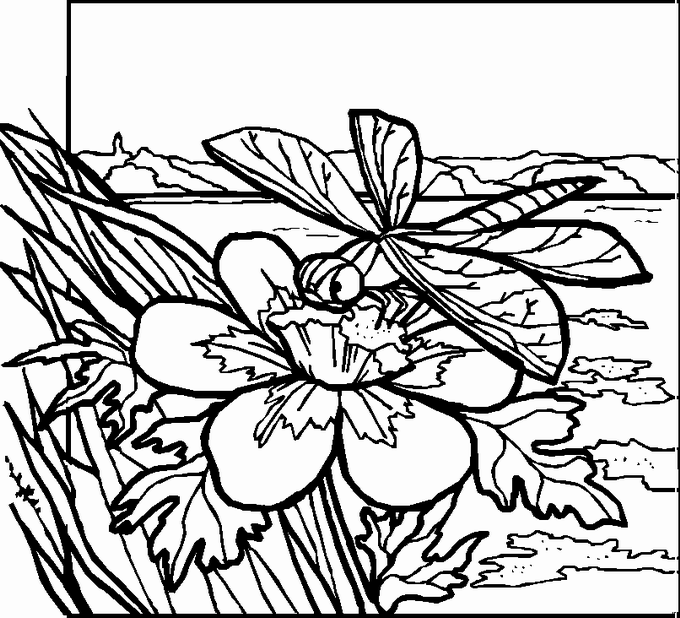 Landscapes coloring pages