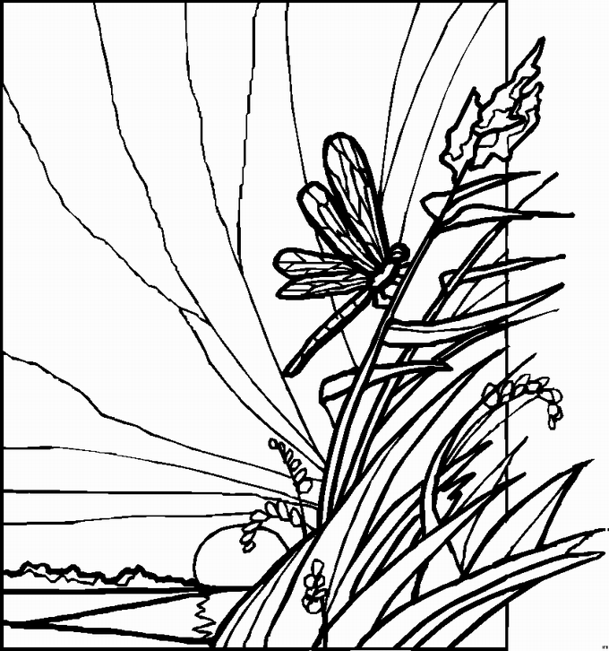 Landscapes coloring pages