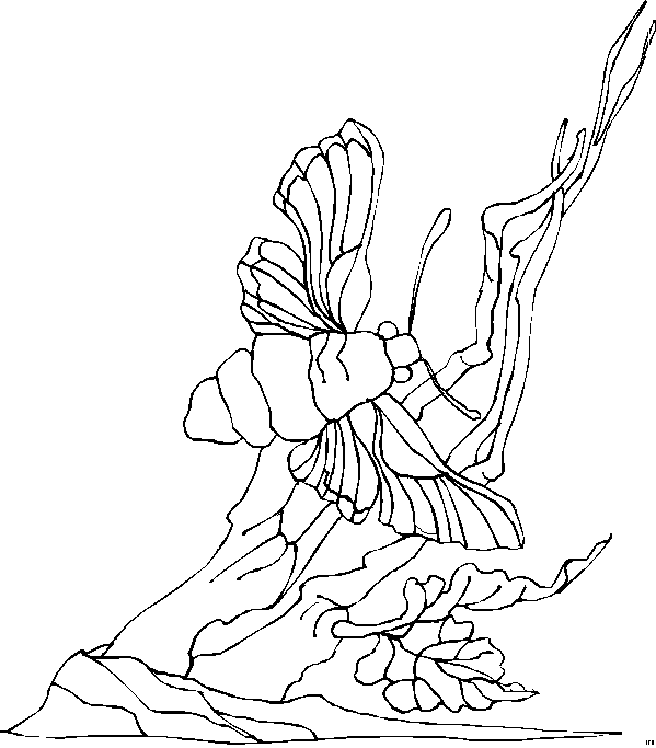 Landscapes coloring pages