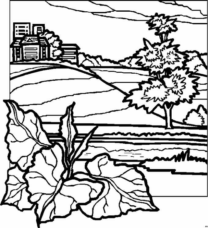 Landscapes coloring pages