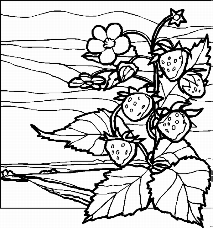 Landscapes coloring pages