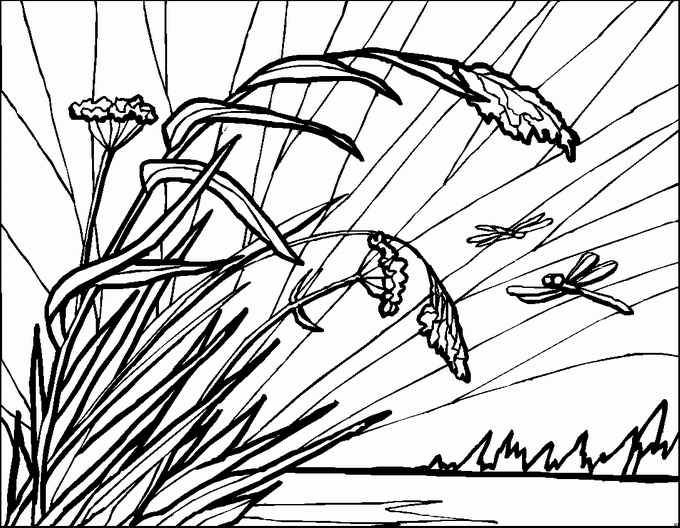 Landscapes coloring pages