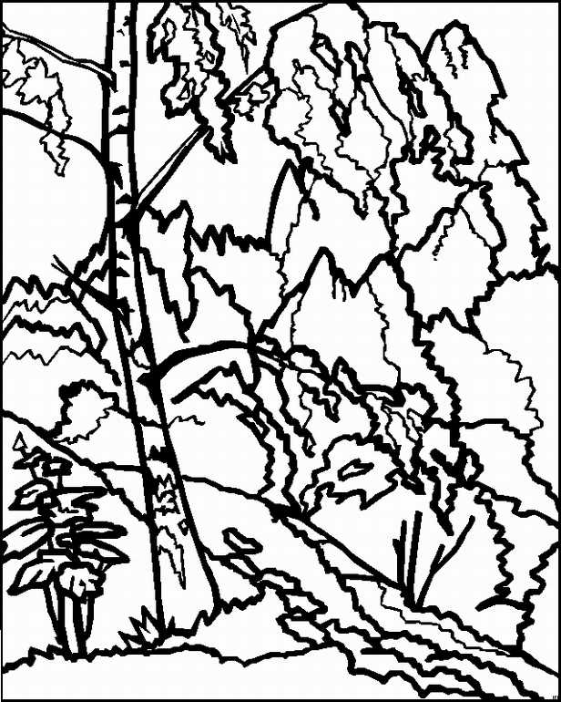 Landscapes coloring pages