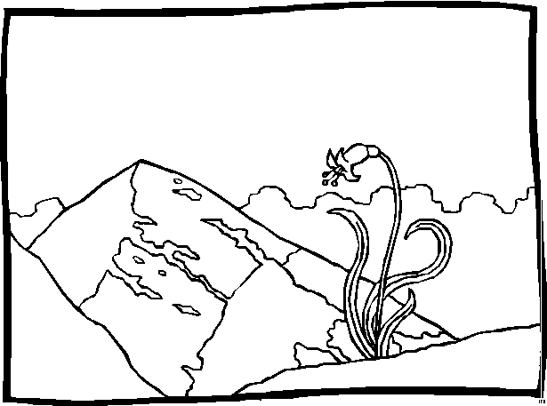 Landscapes coloring pages