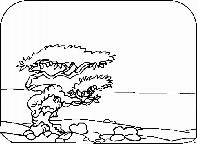 Landscapes coloring pages