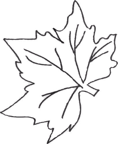 Leaf coloring pages