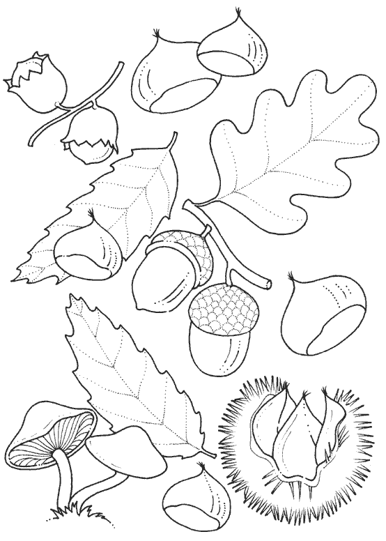 Leaf coloring pages