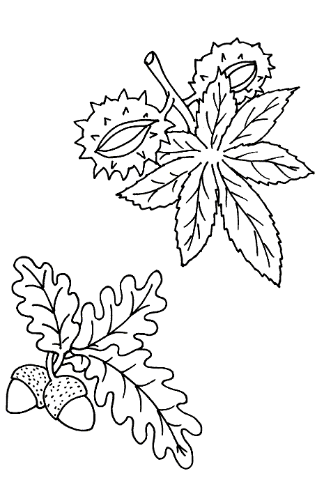 Leaf coloring pages