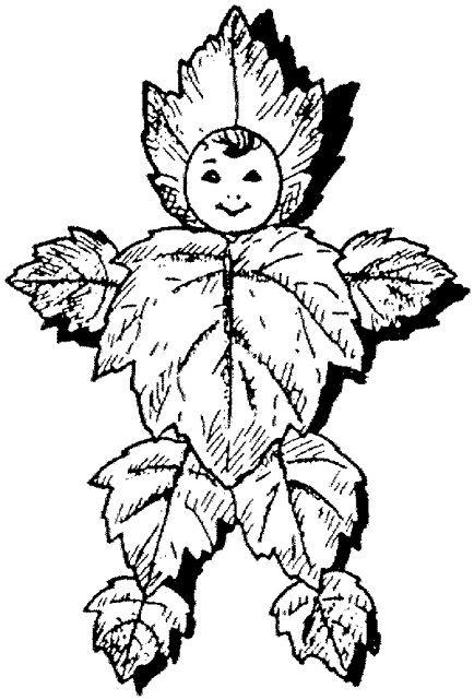 Leaf coloring pages