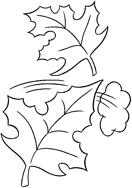 Leaf coloring pages