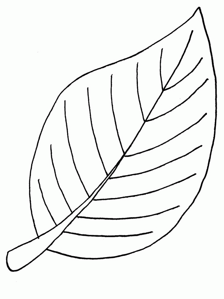 Leaf coloring pages