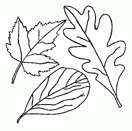 Leaf coloring pages