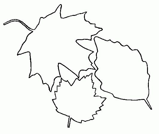 Leaf coloring pages