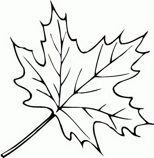 Leaf coloring pages