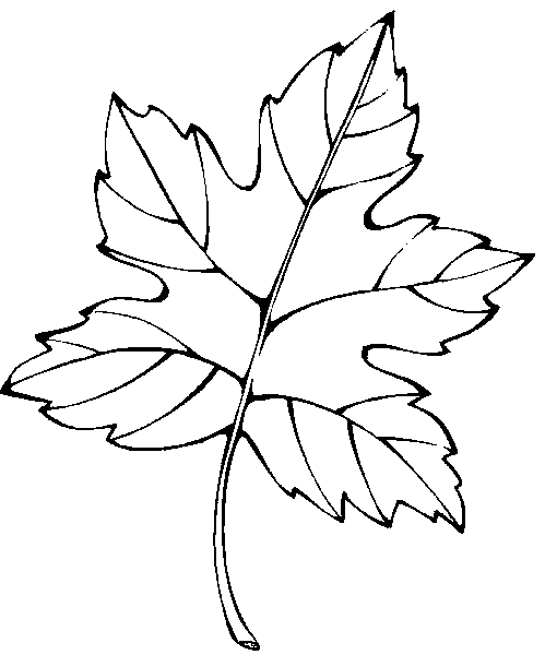 Leaf coloring pages