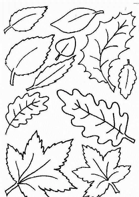 Leaf coloring pages