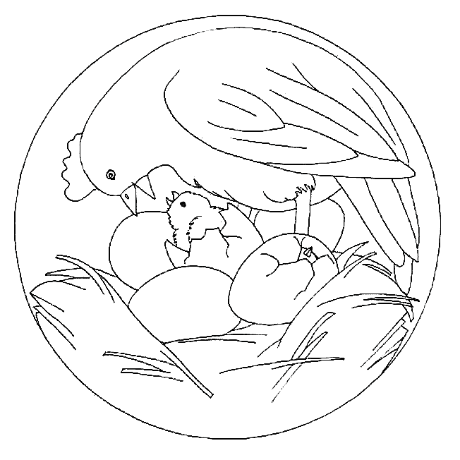 Mandala coloring pages