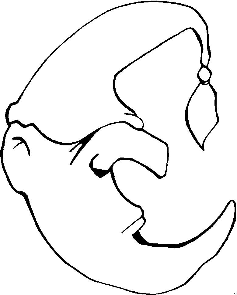 Moon coloring pages
