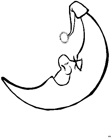 Moon coloring pages