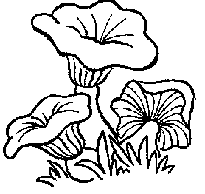 Mushrooms coloring pages