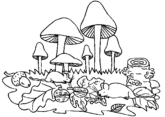 Mushrooms coloring pages